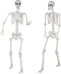 Two views of a life-size white posable Halloween skeleton